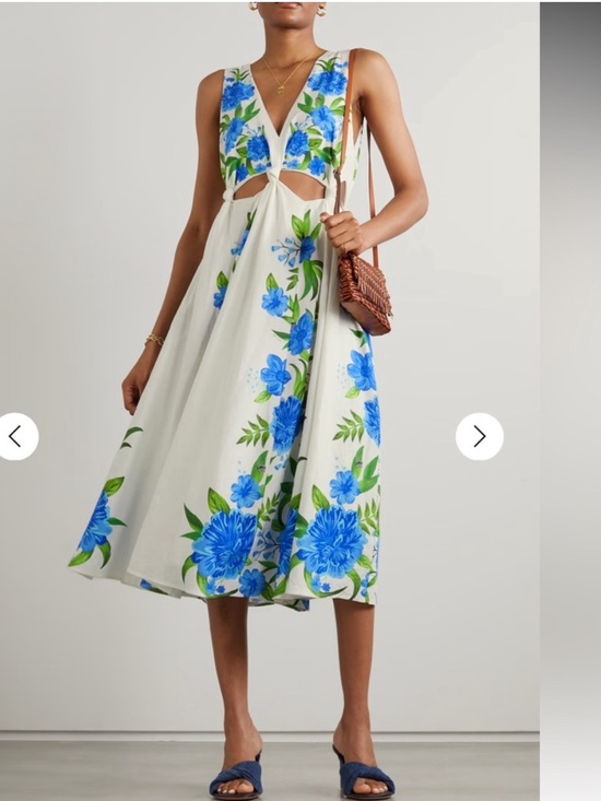 FARM Rio Dresses & Skirts - FARM Rio Cream Midi Dress with Blue Floral Print and Green Leaves